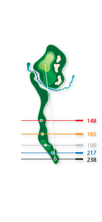 11Hole
