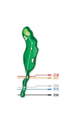 17Hole