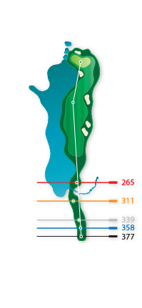 9Hole